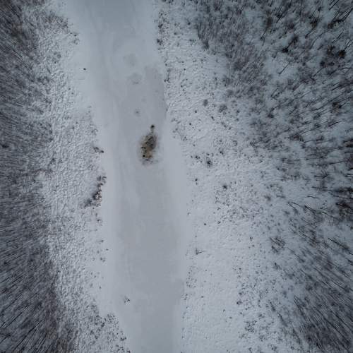 Photo #7171083