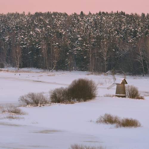 Photo #7171144