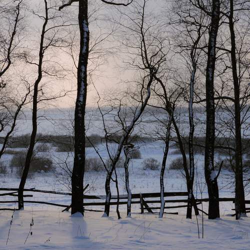Photo #7171149