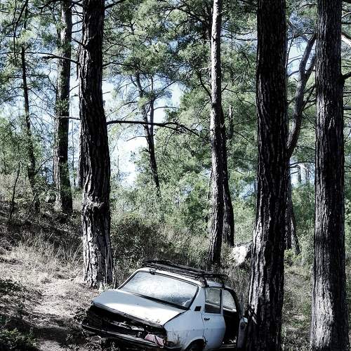 Photo #7171243