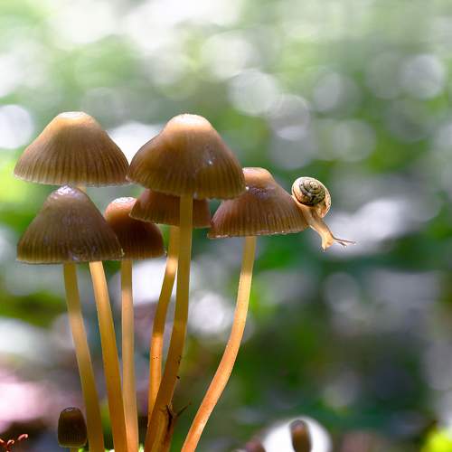 Photo #7171441
