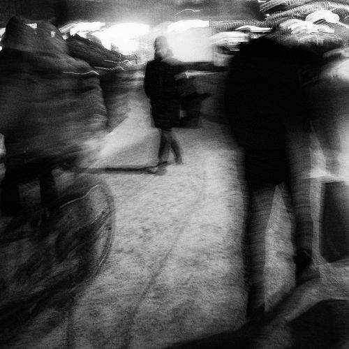 Photo #7171900