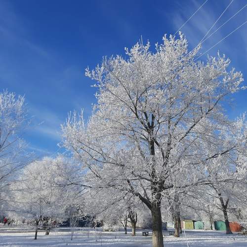 Photo #7172194