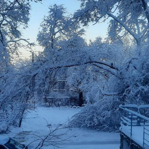 Photo #7172204