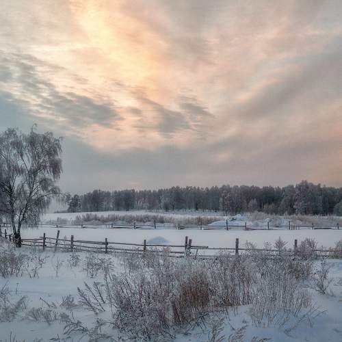 Photo #7172341
