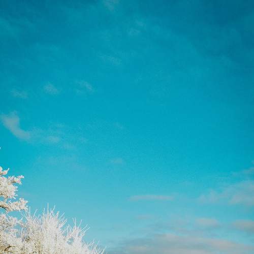 Photo #7172374