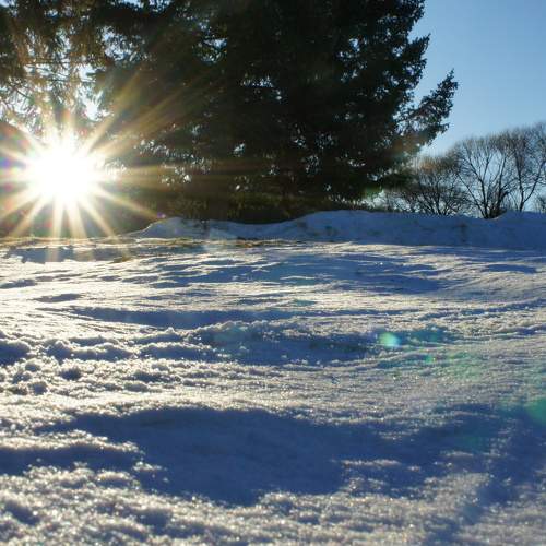 Photo #7172607