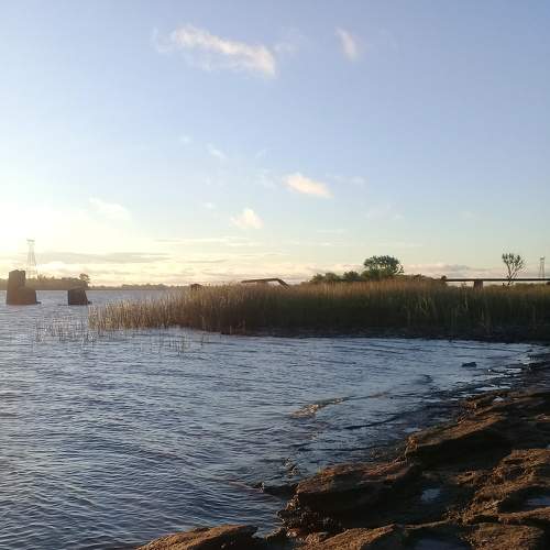 Photo #7172680