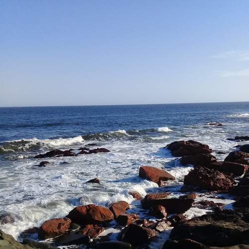 Photo #7172681