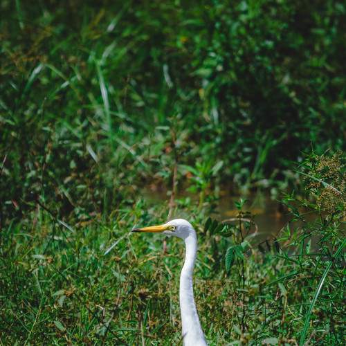 Photo #7173110
