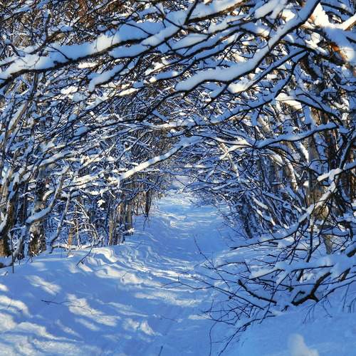 Photo #7173134