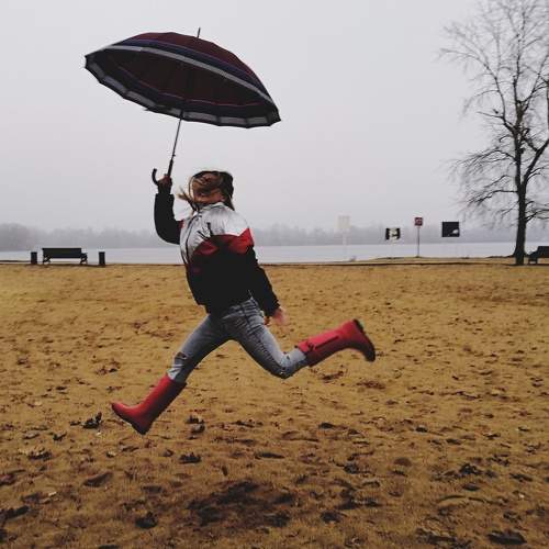 Photo #7173181
