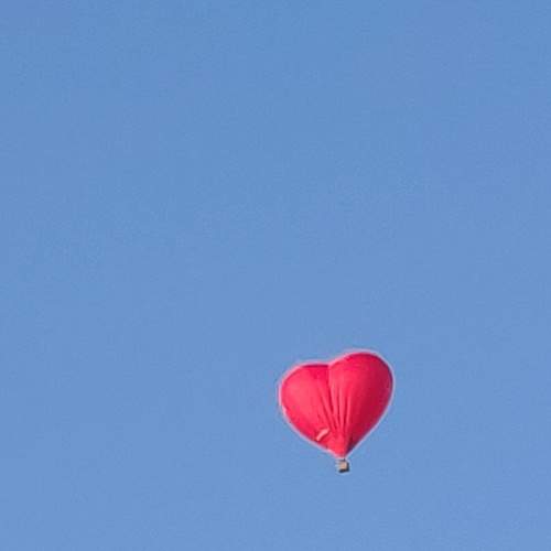 Photo #7173215