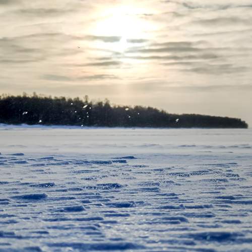 Photo #7173317