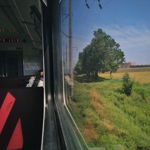 Photo #7173987