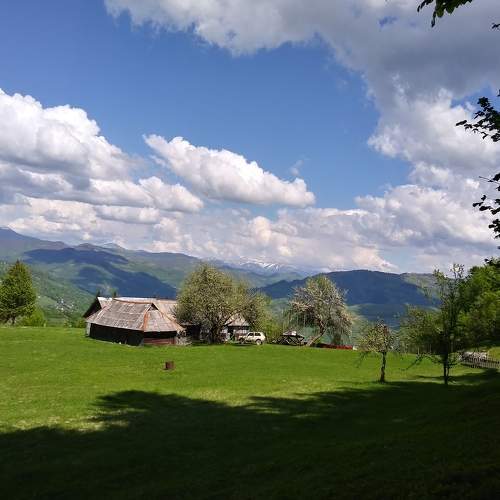 Photo #7174101