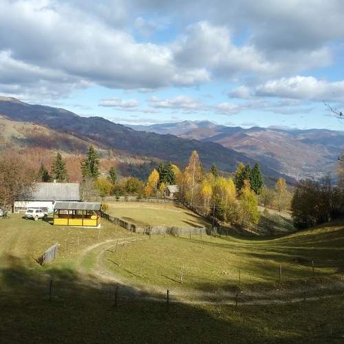 Photo #7174189