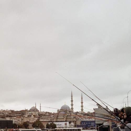 Photo #7174278