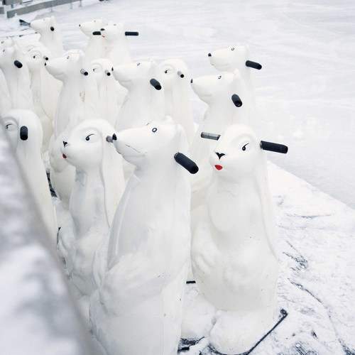 Photo #7174333