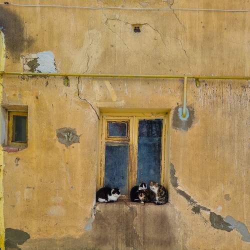 Photo #7174597