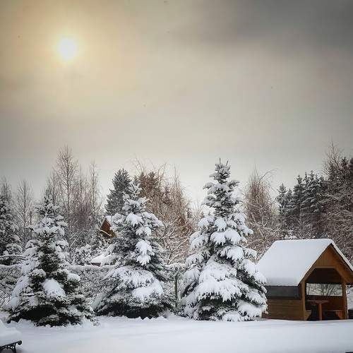 Photo #7174679