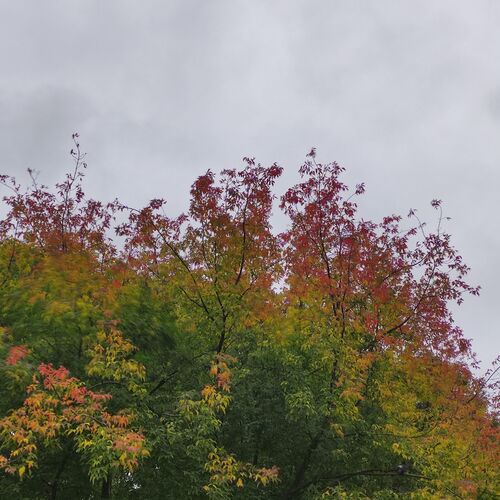 Photo #7174777