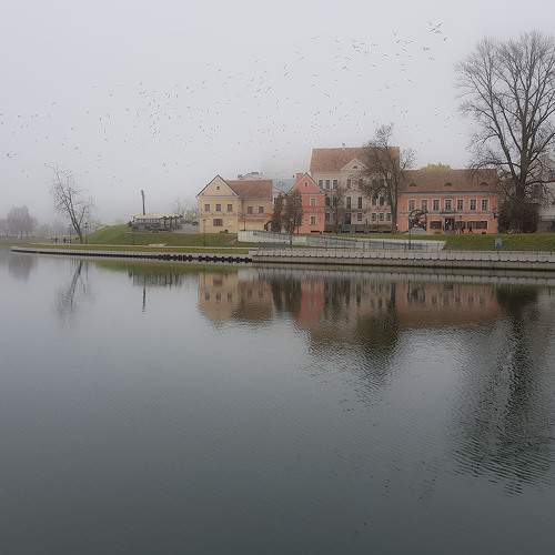 Photo #7175214