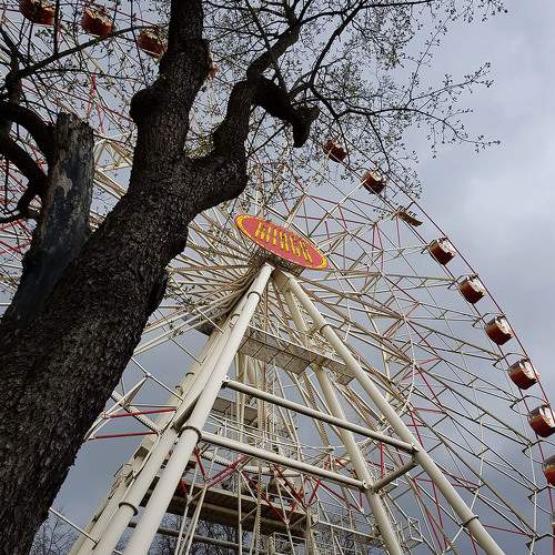 Photo #7175215