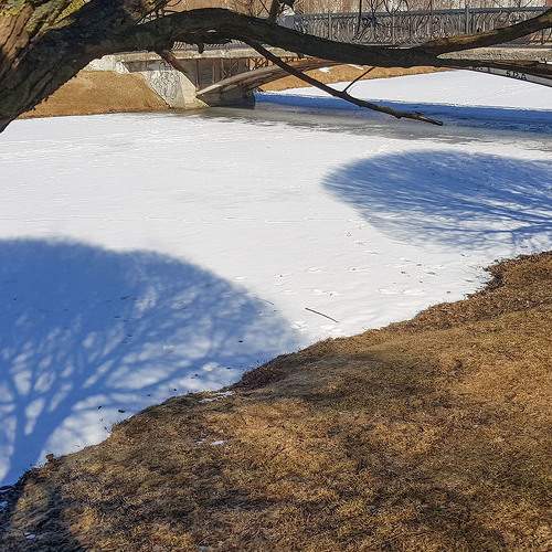 Photo #7175216