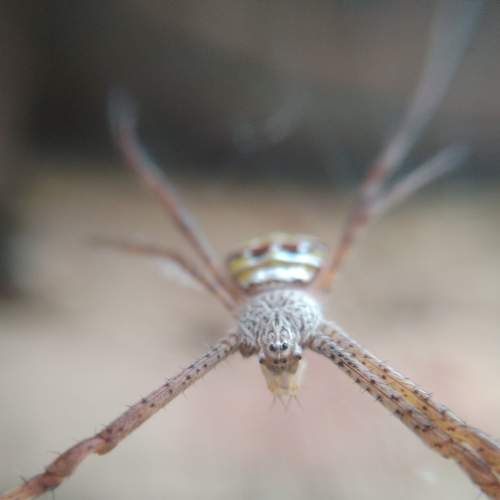 Photo #7175330