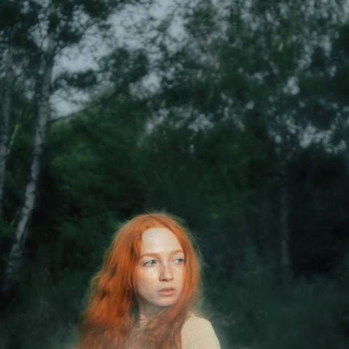 Photo #7175360