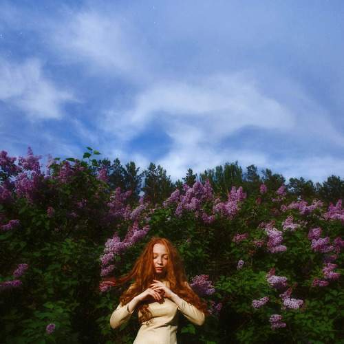 Photo #7175400