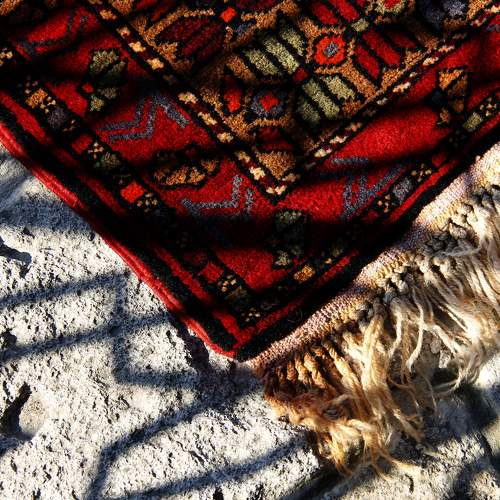Photo #7175564