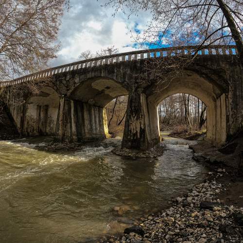 Photo #7175743