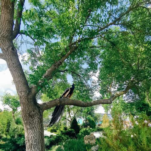 Photo #7175788