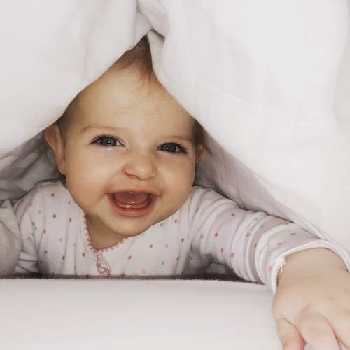 Photo #7175815