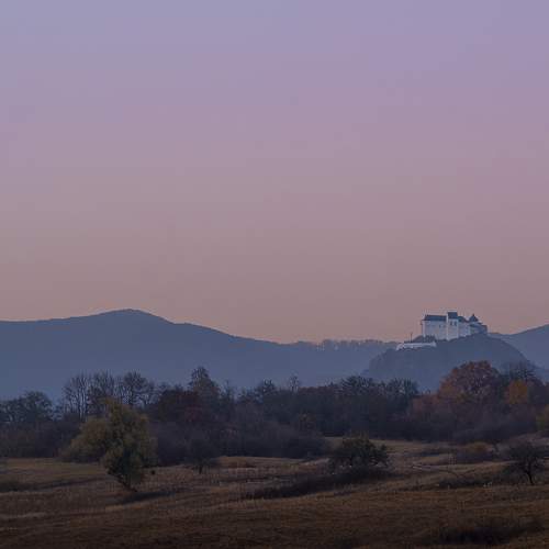 Photo #7175869