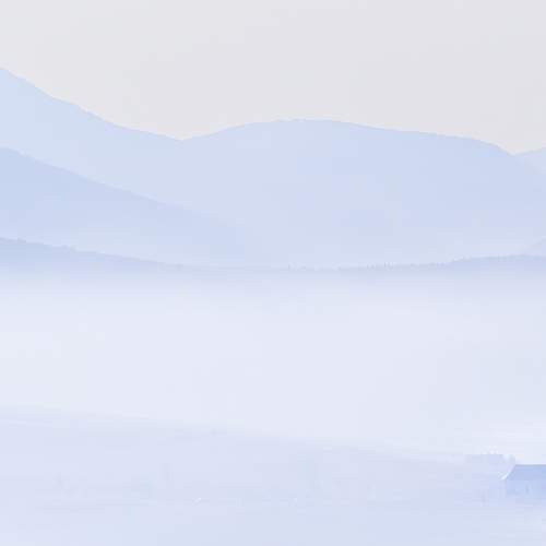 Photo #7175870