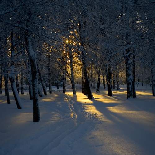 Photo #7175939