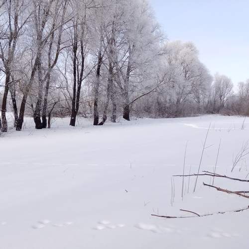 Photo #7176176