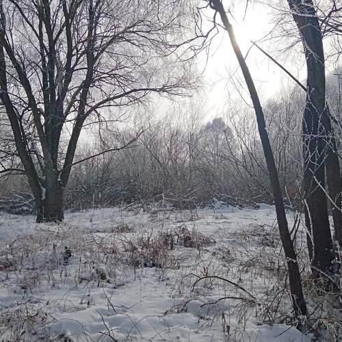 Photo #7176178