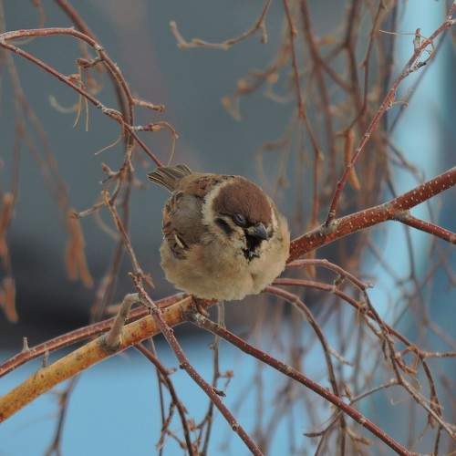 Photo #7176212