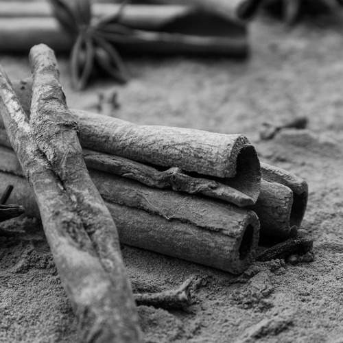 In the world of cinnamon