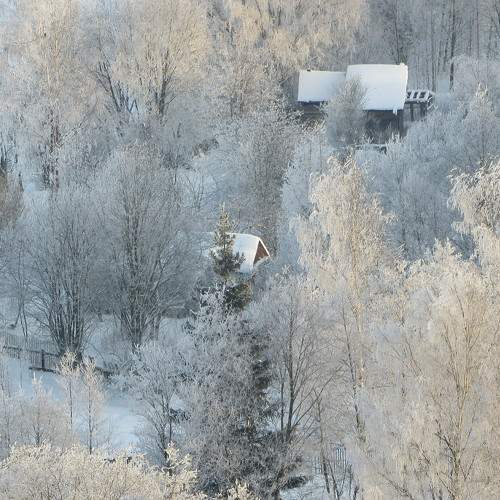 Photo #7176315
