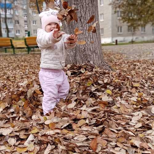Photo #7176392