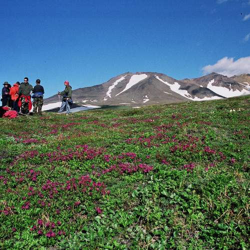 Photo #7176634