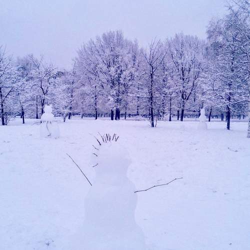Photo #7176690