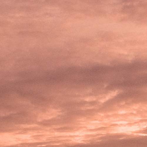 Photo #7176745