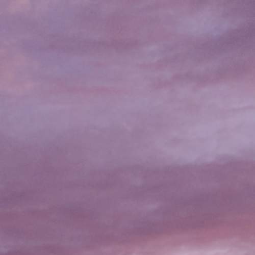Photo #7176758