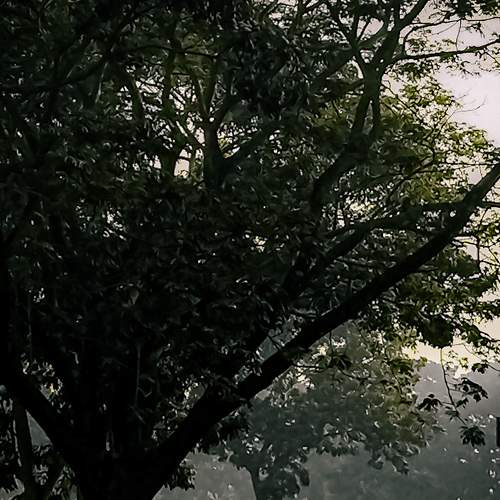 Photo #7176928